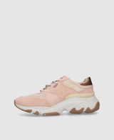 Unique 561 - Multicolor