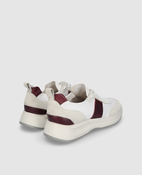 Toronto Sneaker CL - White/Bordo