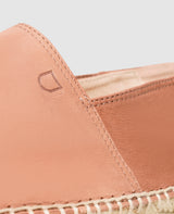 EP
Taylor EP - Braun EP