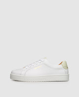 Original Draft EN - White/Green