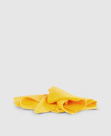 Shoe polishing cloth - Colorless