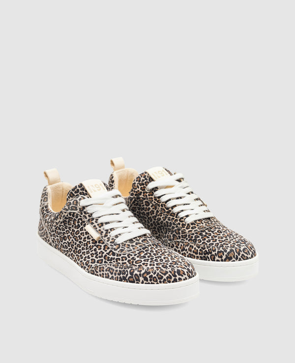 Court M AA - Leopard