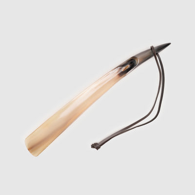 Shoe horn & shoe lifter