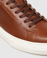 Sophia LTS - Middle Brown